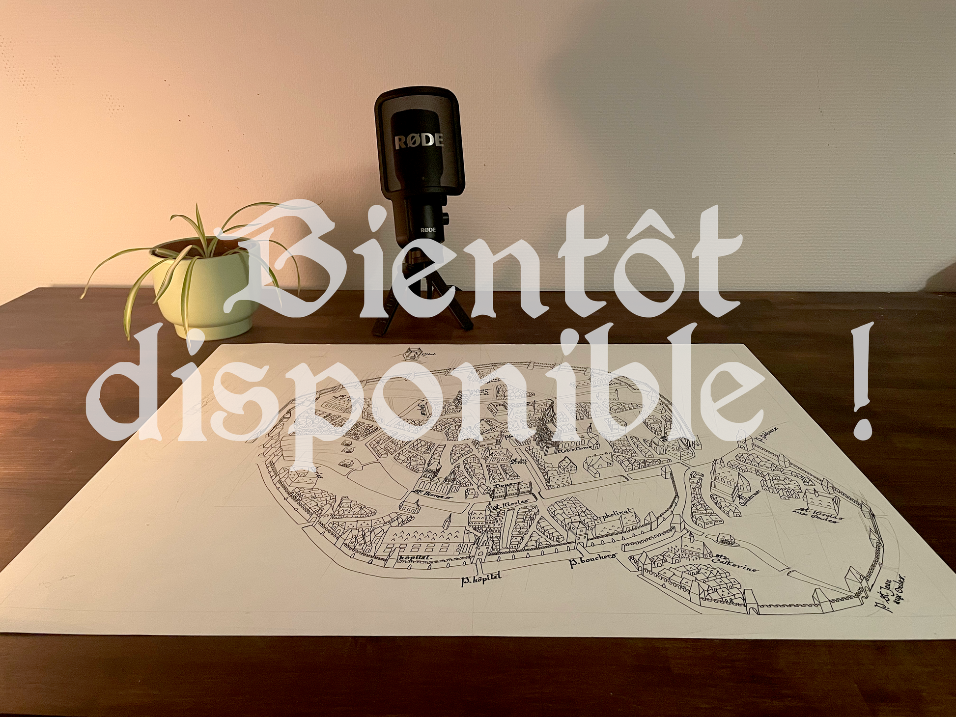 Plan de Strasbourg au XVème siècle